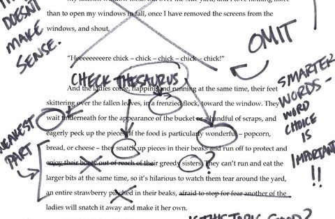 Common College Essay Mistakes to Avoid Before Hitting Submit