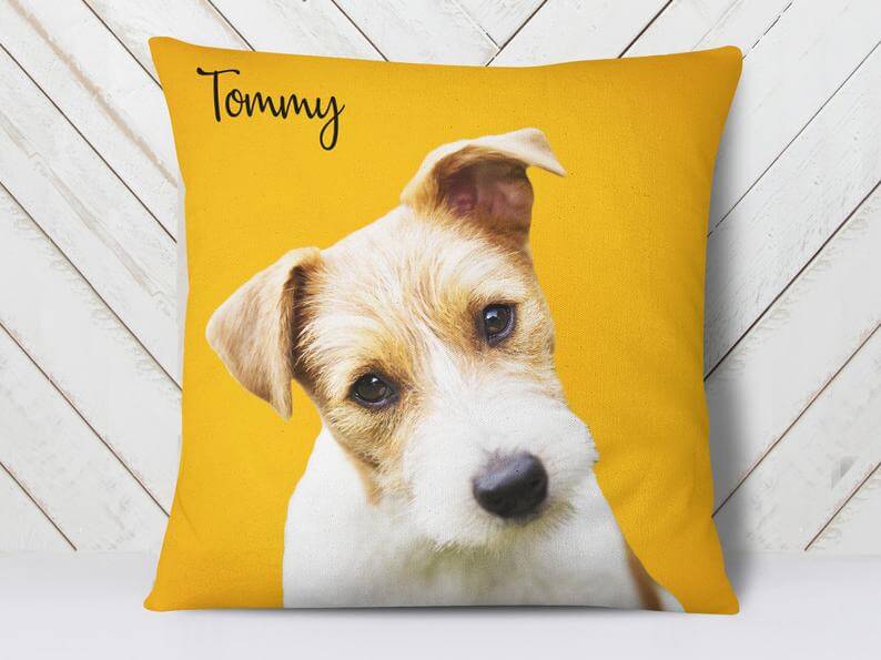 custom pet pillow
