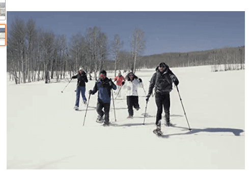 snowshoes