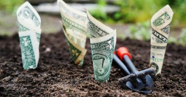 Critical Information on How Student Loans Work