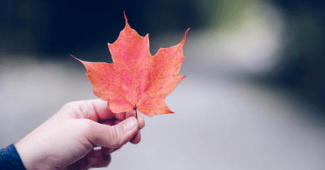 New England Tuition Break