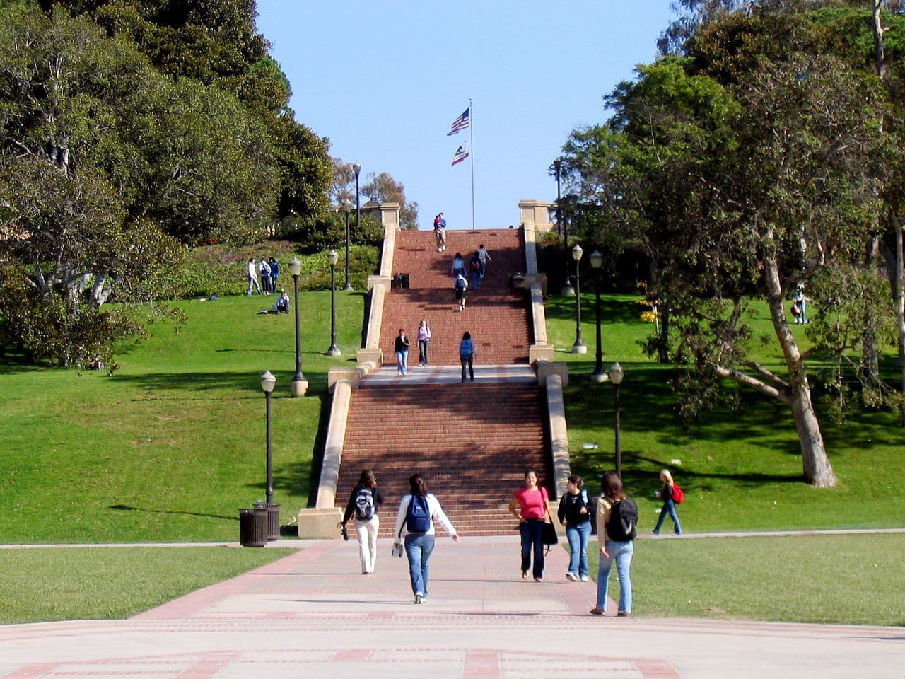 UCLA Common DAta Set