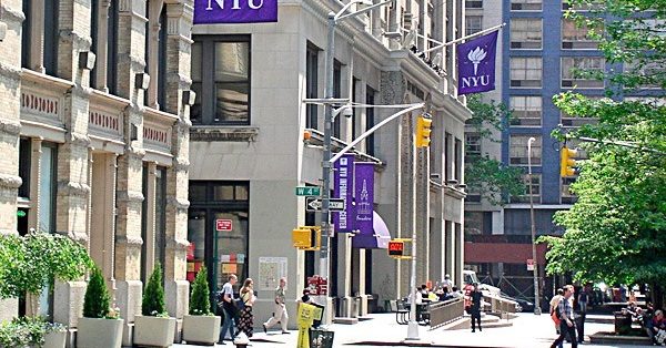 NYU Common Data Set