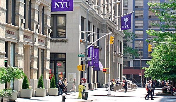 NYU Common Data Set