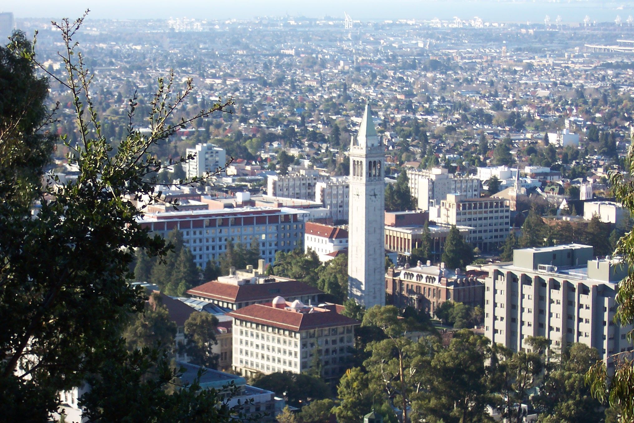 UC Berkeley Common Data Set