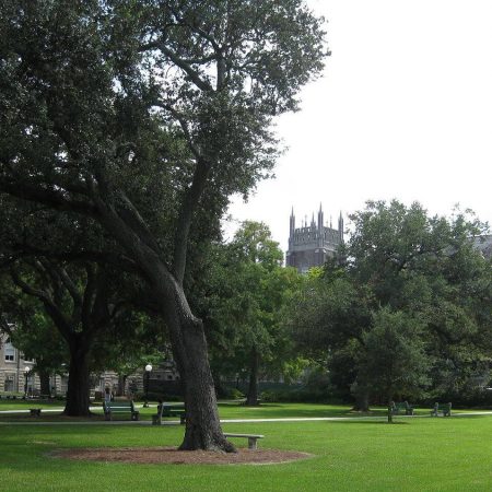 Tulane Merit Scholarships