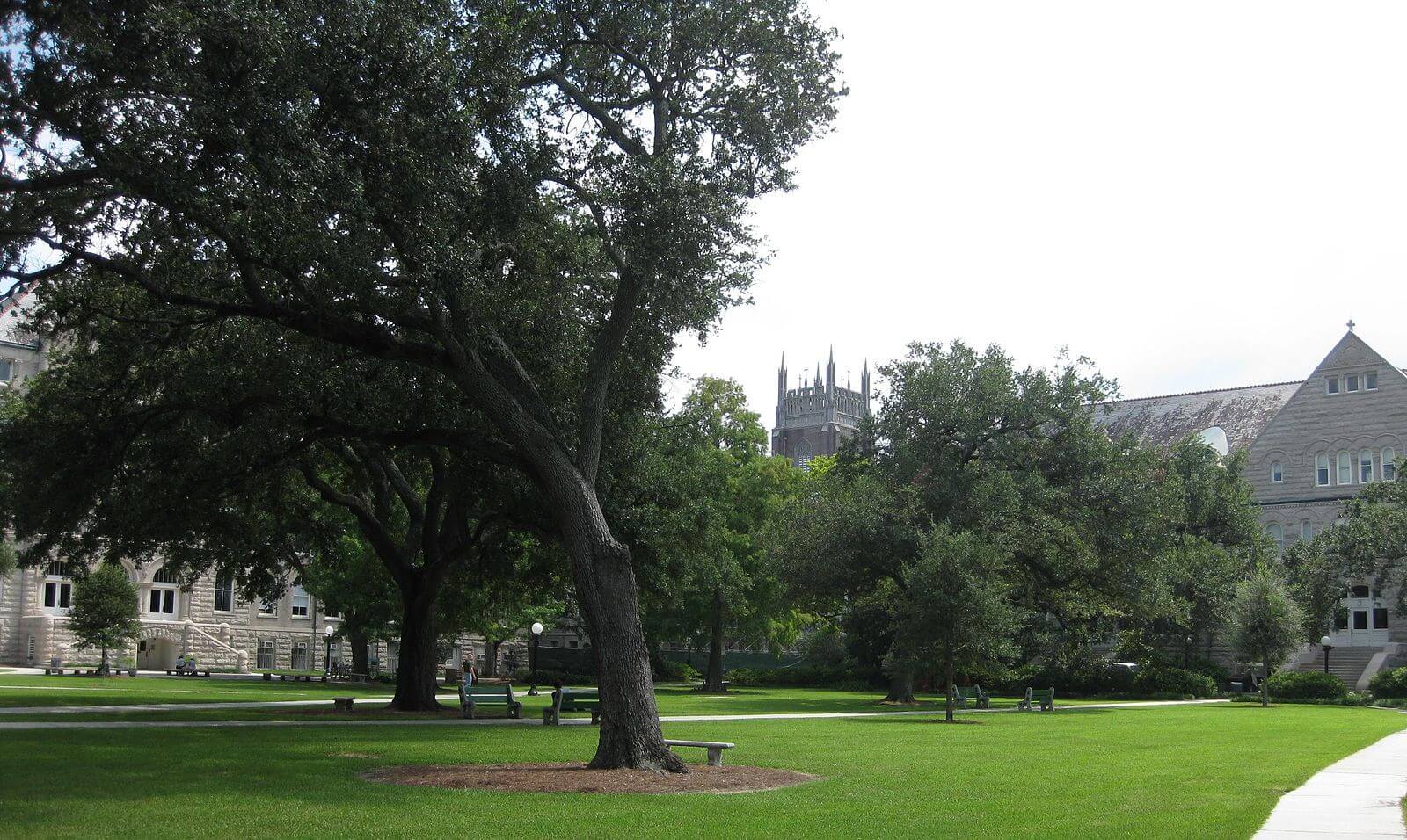 1600px-Tulane_quad