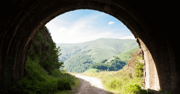 A Dose of Reality From the Mom of a College Senior