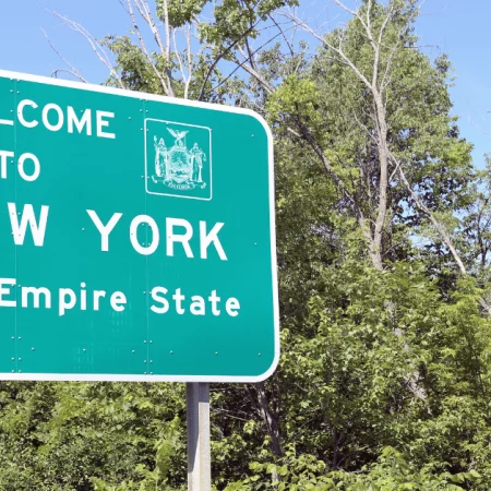 The Difference Between CUNY and SUNY in the New York State University System