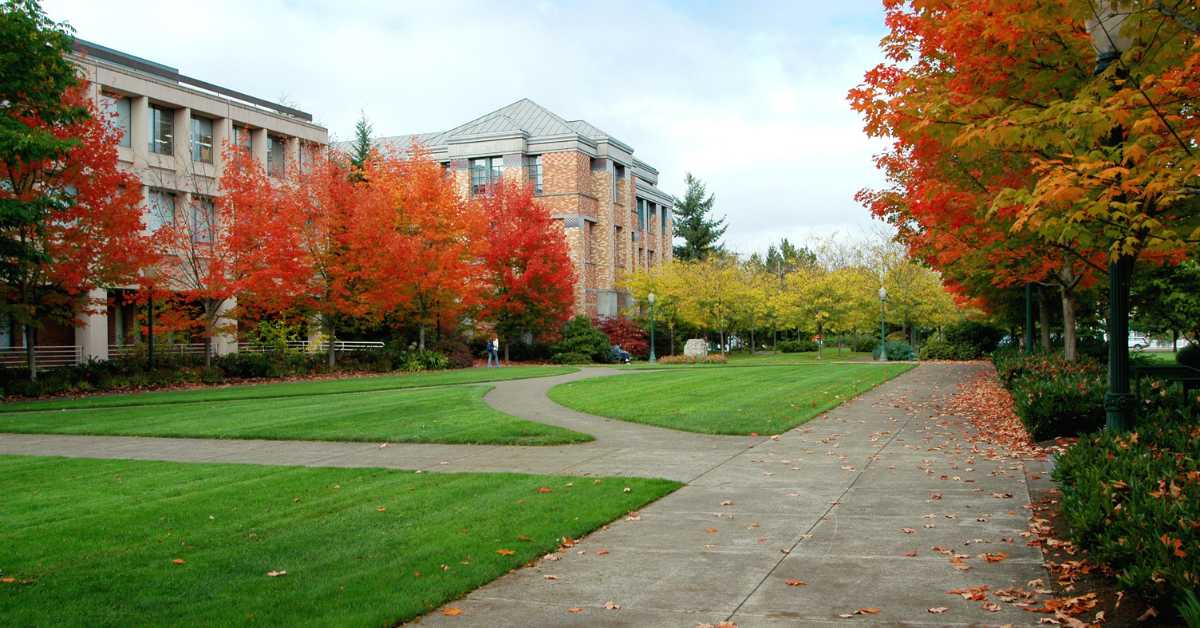 college campus in the fall